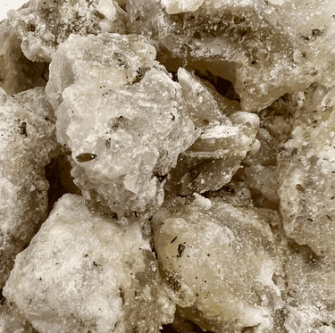 White Copal (Copal Blanco) Mexico (Bursera bipinnata)